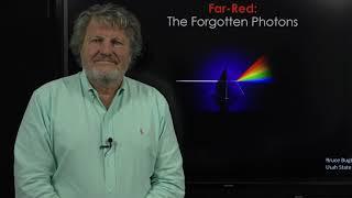 Far-red: The Forgotten Photons