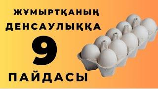 Жұмыртқаның денсаулыққа 9 пайдасы🪺