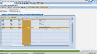 sap abap transparent table creation.wmv