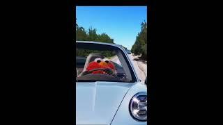 Elmo running from the cops
