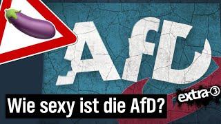 Realer Irrsinn: AfD-Schlammschlacht in Mecklenburg-Vorpommern | extra 3 | NDR