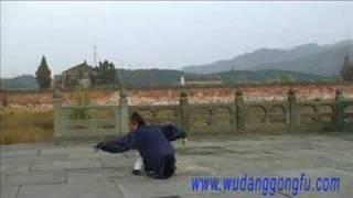 Wudang Xuanwu Quan - Master Yuan Xiu Gang