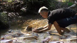 Fishing Technology: Use Cannon Pump Sucks Water, Catch Many Fish In Lake