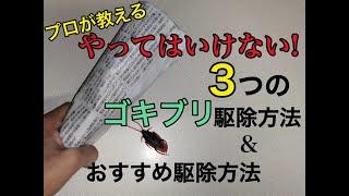 【プロが教える】やってはいけない３つのゴキブリの駆除方法とおすすめの駆除方法とは？