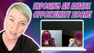 Exposing an Amare Opportunity Zoom | #antimlm | #erinbies | #amare