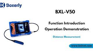 BXL-V50 Veterinary Ultrasound Function Introduction Operation Demonstration.