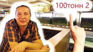 100 тонн аквариумистики в Яхроме 2