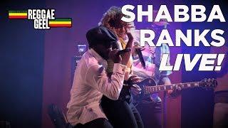 SHABBA RANKS LIVE @ REGGAE GEEL 2018 BELGIUM FULL SHOW