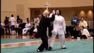 Push Hands Demo Lijun Wang 王力军 #SelfDefense#Gongfu#Kungfu#Qinna#MartialArts#taichi