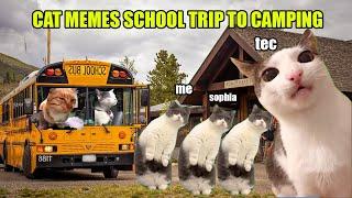 CAT MEMES SCHOOL TRIP TO CAMPING