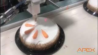 Robotic Cake and Cookie Decorating with the Baker-Bot