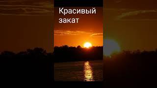 тот самый вайб лета #лето #вайб #шашлык #закат природа #shorts