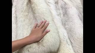 Fur polar saga fox blue. Fur coats shop. Fourrure luxury furs fox, mink sale. Fursberry