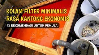 KOLAM FILTER IKAN KOI || REVIEW KOLAM TERPAL 2X1 || REKOMENDASI UNTUK PEMULA