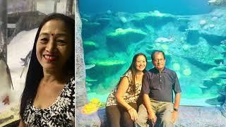 Sea Life Sydney Aquarium | Dinner with Anima and Rajat| Visit Australia