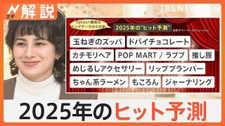 2025年ヒットする？「玉ねぎズッパ」「カチモリヘア」ビッグデータが選ぶヒット予測【Nスタ解説】｜TBS NEWS DIG