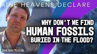 Why Aren't There Any Human Fossils? | The Heavens Declare with David Rives