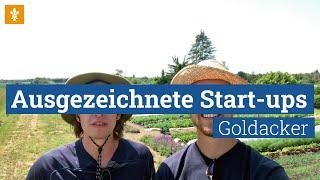  Ausgezeichnete Start-ups: Goldacker / Landeshauptstadt Wiesbaden