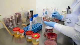 Laboratorios Biomédica