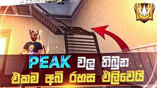 පීක් වල අබිරහස්ම තැනට යන්  | how to free fire rank push trick and place sinhala