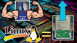 ARROW LAKE GAINS, LINUX BOOSTS 285K, DUAL M.2 B580