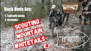 SCOUTING MOUNTAIN BUCKS|Mountain Buck Bedding|The Stickboys