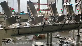 Paper lid packing machine | automatic count shrink wrap machine for paper lids | paper lids packer