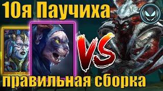 ️Акемтум с Митралой против 10й Паучихи на авто, кач корма без фейлов | Gray plays | Raid SL