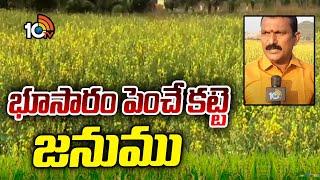 భూసారం పెంచే కట్టె జనుము | Best ways to Increase Soil Fertility |  Janumu | Matti Manishi | 10TV