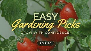 Top 10 Foolproof Plants for Beginner Gardeners  Essential Tips for Success!