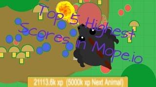 Top 5 Highest Scores in Mope.io