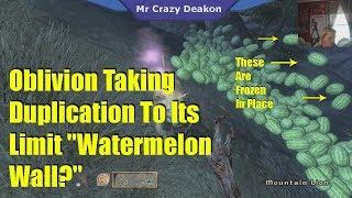 Oblivion Taking Duplication To Its Limit "Watermelon Wall?"