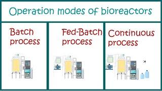 Types of Bioprocesses ( Batch , Fed Batch and Continuous processes)