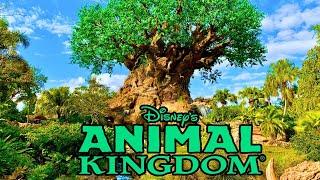 Disney’s Animal Kingdom - Christmas Tour & Rides | Christmas at Walt Disney World 2024