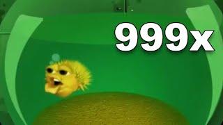 Yellow Singing Pufferfish 999x SPEED