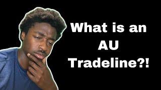 What are authorized user Tradelines?