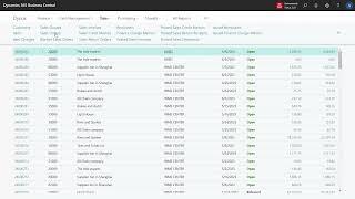 ENG24032882 The two dimensional Item Variant Matrix Order on Sales Orders or Purchase Orders