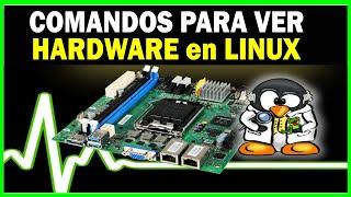 ENCONTRANDO DETALLES de HARDWARE en LINUX | Comandos