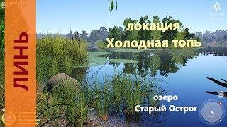 Русская рыбалка 4 - озеро Старый Острог - Линь в углу карты