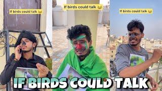 If Birds Could Talk  | Chimkandi