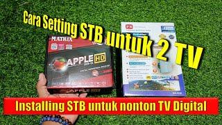 Setting STB Matrix Aplle HD Merah  plus 1 Antena. Jika Ingin Nonton di 2 TV.