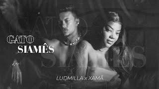 LUDMILLA e Xamã - Gato Siamês