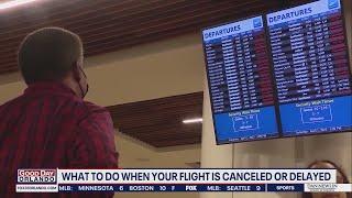 What to do when your flight is canceled or delayed