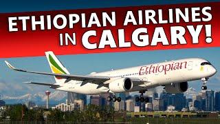 RARE VISITOR! Ethiopian Airlines A350-900 at Calgary Airport!