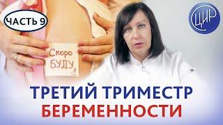 Третий триместр. Особенности течения и ведение беременности во время третьего триместра.