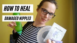 How to HEAL damaged nipples PART 1| LANOLIN | BREAST SHELLS | MULTI- MAM COMPRESSES | SALT WATER
