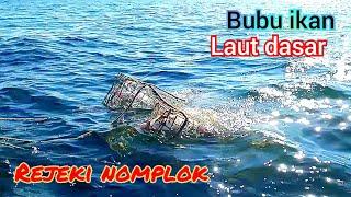 Bubu ikan - rejeki nomplok dapat di pencabutan terakhir