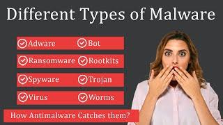 Different Types of Malware Explained | How does Anti-malware Detects them?