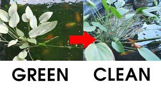 How to Clean a Green Pond