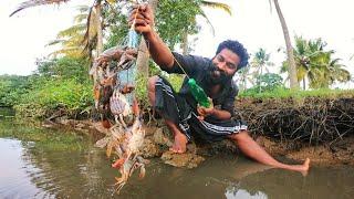 SIMPLEST CRAB TRAP IN THE WORLD | ഞണ്ടിനെ പിടിക്കുന്ന സൂത്രവിദ്യ | M4 TECH |